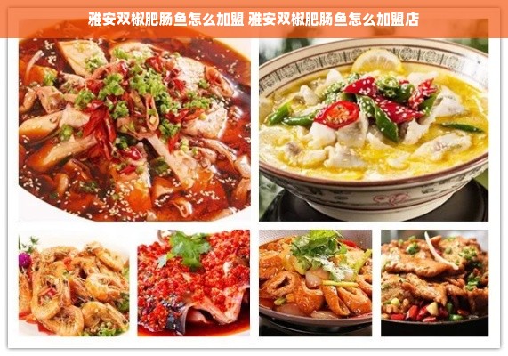 雅安双椒肥肠鱼怎么加盟 雅安双椒肥肠鱼怎么加盟店