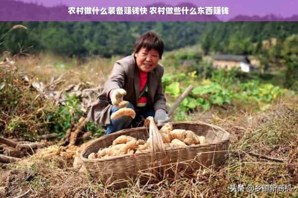 农村做什么装备赚钱快 农村做些什么东西赚钱