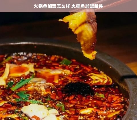 合肥幼儿的早教加盟店，探索与洞察