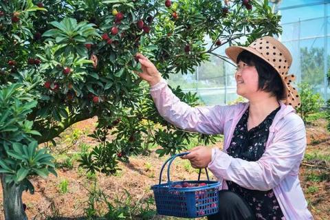 余姚家电清洗排名品牌深度解析