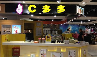 泉州装修塑料管品牌精选指南
