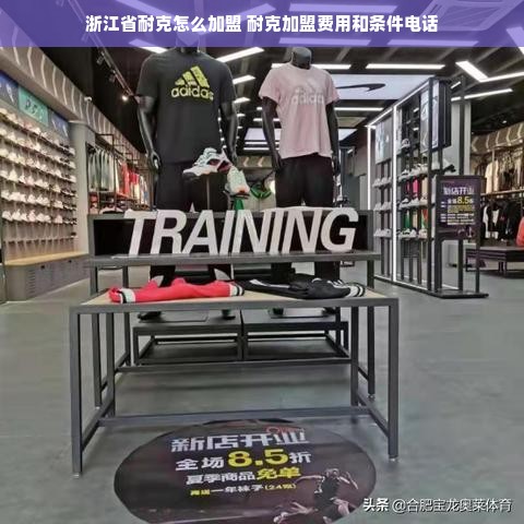 石家庄知名早教加盟，探索成功之路
