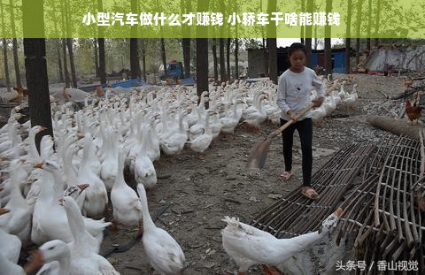 小型汽车做什么才赚钱 小轿车干啥能赚钱