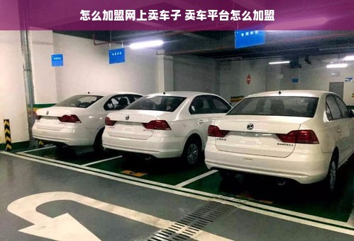 俄罗斯米其林餐饮品牌，品味独特魅力与卓越品质