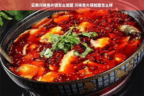露营好搭档！盘点平价T恤与实用露营厨具品牌