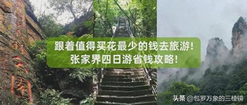 广东省家电下乡中标品牌深度解析