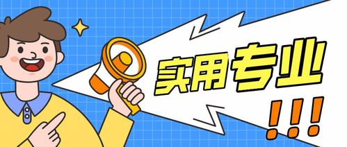 露营好搭档！盘点平价T恤与实用露营厨具品牌