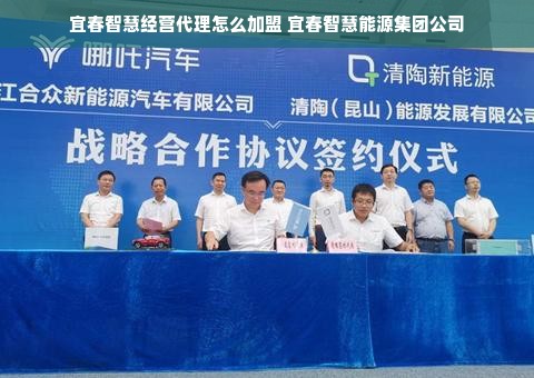 母婴连锁店品牌，打造全方位母婴服务体验