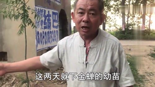 车载露营冰箱品牌大盘点，便携实用，让你的户外生活更惬意