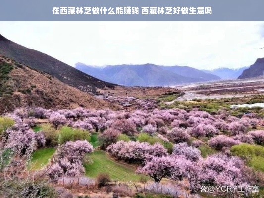鹿优选额度提现商家指南，如何查看与利用鹿优选额度