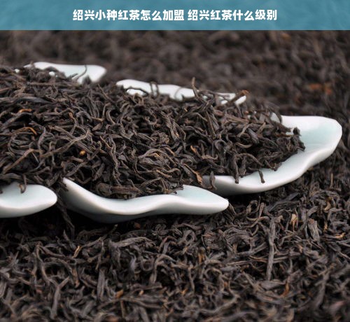 揭秘家居柜体品牌的五大选择
