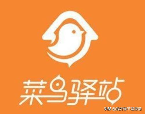 京东自营品牌海藻面膜全攻略，成分党必看+真实用户反馈+选购指南