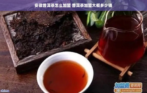 微信分付额度提现商家指南，如何巧妙使用微信分付额度