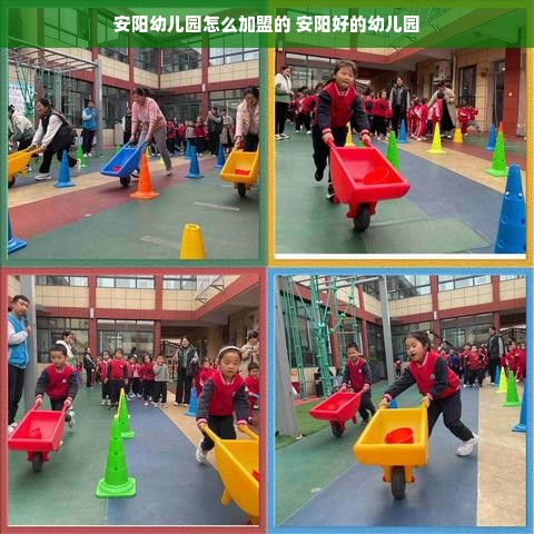 顺德新家电品牌大揭秘，多元化与创新并行