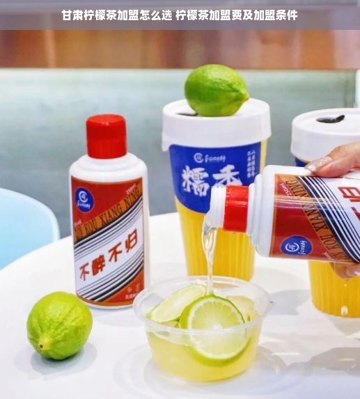 甘肃柠檬茶加盟怎么选 柠檬茶加盟费及加盟条件
