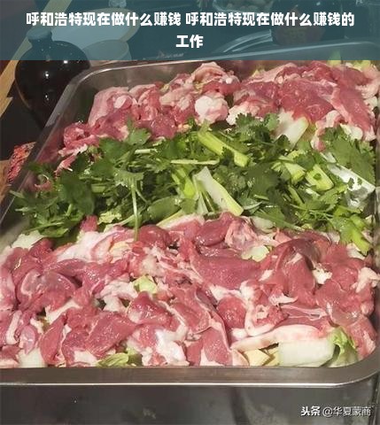 呼和浩特现在做什么赚钱 呼和浩特现在做什么赚钱的工作