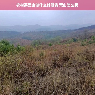 农村买荒山做什么好赚钱 荒山怎么卖