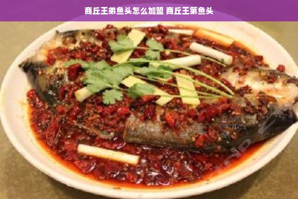 广东舞蹈品牌口号大盘点，舞动南粤，韵律飞扬