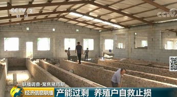 自己有厂房做什么好赚钱 自己有厂房,做什么项目好