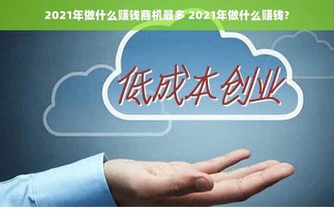 浙江本地家电供应商品牌，品质与创新共舞的舞台