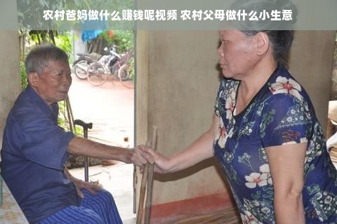 农村爸妈做什么赚钱呢视频 农村父母做什么小生意