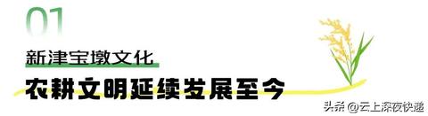 蒙氏早教加盟费详解，了解费用结构，开启美好未来