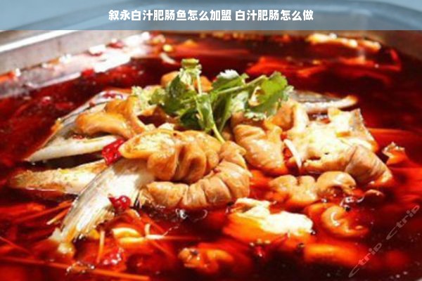 叙永白汁肥肠鱼怎么加盟 白汁肥肠怎么做
