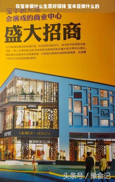 在宝丰做什么生意好赚钱 宝丰是做什么的
