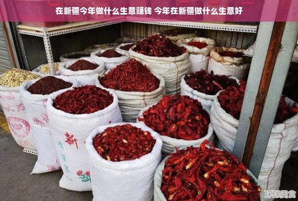 在新疆今年做什么生意赚钱 今年在新疆做什么生意好