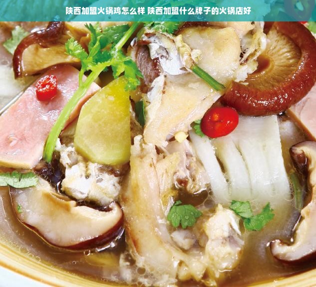 加盟早教成本详解，投入与回报的权衡