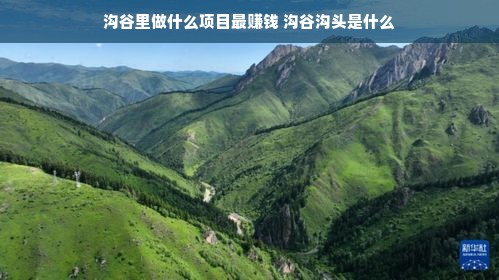 全国知名餐饮品牌开店的背后故事，策略、挑战与成功案例