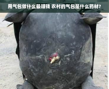 盘点全球3D打印机品牌，看看你心仪的是哪一个？