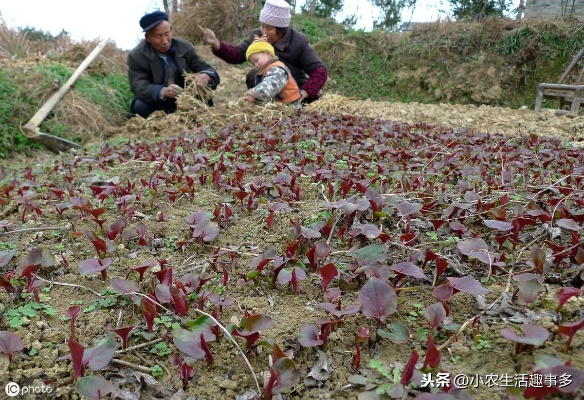 登封早教加盟店，开启孩子未来的黄金钥匙