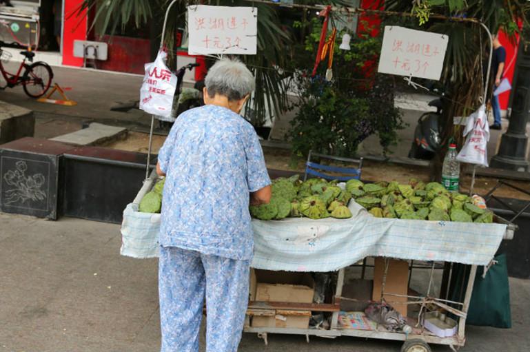 亲亲袋鼠国际早教中心加盟之旅，共创美好未来教育