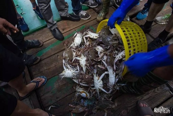 海鲜废料做什么生意好赚钱 海鲜废料做什么生意好赚钱呢
