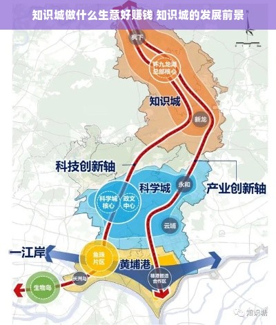 京东白条额度如何套出来商家,手机京东白条分期额度怎么用