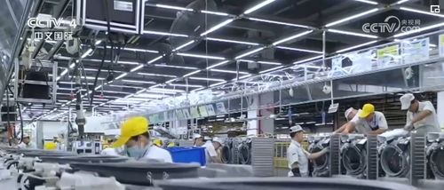 2023年手游棋牌游戏排行榜，哪款游戏能成为你的掌上娱乐之王？