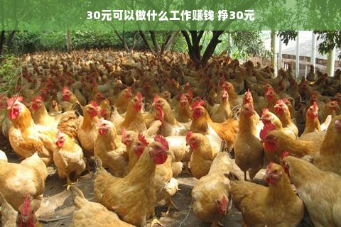 盘点2023鹿茸白酒品牌排行前十，品味养生佳酿！