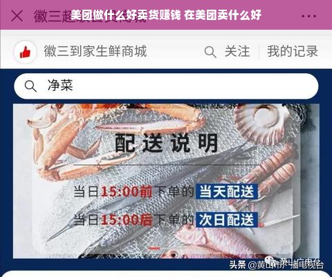 母婴品牌Discuz，深度解析与实例探究