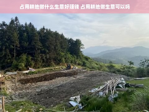 占用耕地做什么生意好赚钱 占用耕地做生意可以吗
