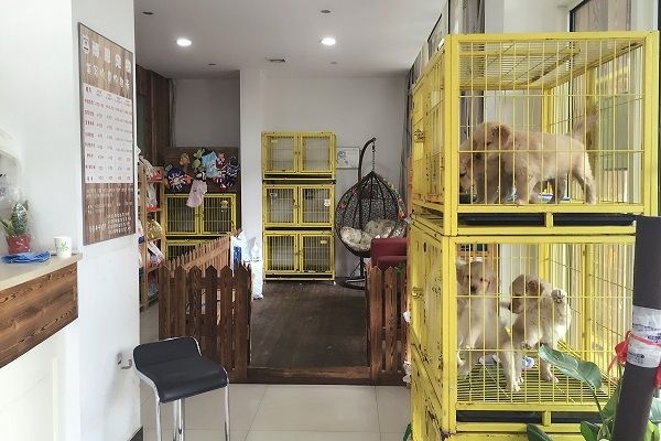 京东白条购物车额度套现攻略