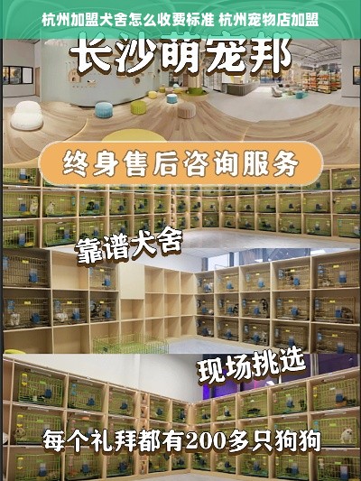 杭州加盟犬舍怎么收费标准 杭州宠物店加盟