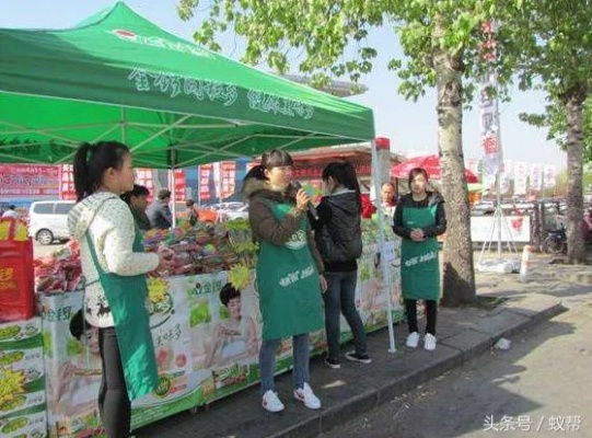 邯郸餐饮品牌加盟成本大揭秘，深度解析与案例分享