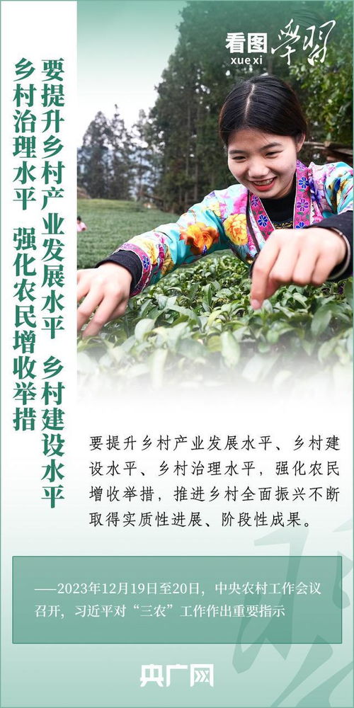 家电低端副品牌排行榜，深度解析那些性价比之选