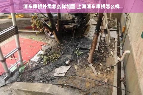 母婴护理品牌大盘点