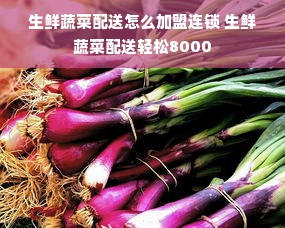 生鲜蔬菜配送怎么加盟连锁 生鲜蔬菜配送轻松8000