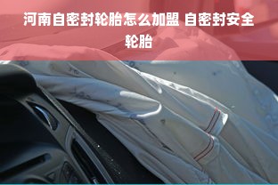 河南自密封轮胎怎么加盟 自密封安全轮胎