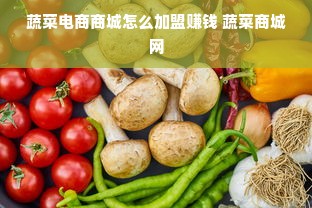 探索高端电脑包的奢华世界