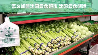 微信分付套现指南，合法与风险并存