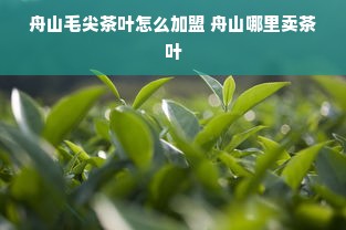餐饮品牌VI设计公司，打造独特品牌形象的关键角色